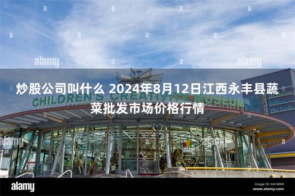 炒股公司叫什么 2024年8月12日江西永丰县蔬菜批发市场价格行情