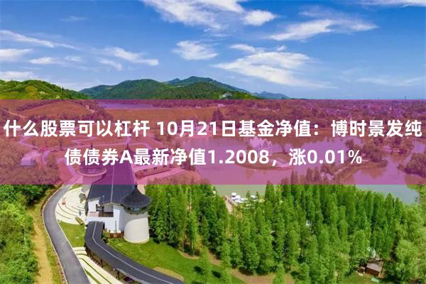 什么股票可以杠杆 10月21日基金净值：博时景发纯债债券A最新净值1.2008，涨0.01%