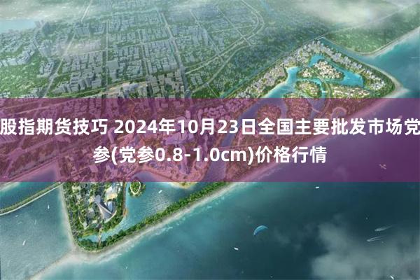 股指期货技巧 2024年10月23日全国主要批发市场党参(党参0.8-1.0cm)价格行情