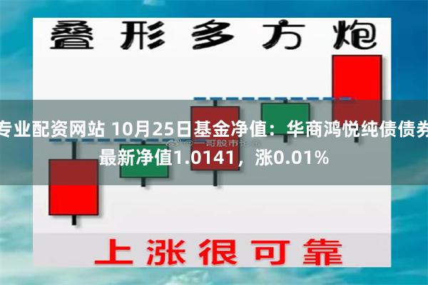 专业配资网站 10月25日基金净值：华商鸿悦纯债债券最新净值1.0141，涨0.01%