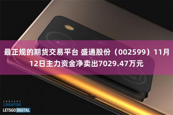 最正规的期货交易平台 盛通股份（002599）11月12日主力资金净卖出7029.47万元