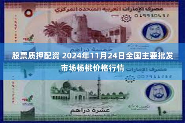 股票质押配资 2024年11月24日全国主要批发市场杨桃价格行情