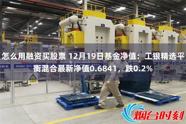 怎么用融资买股票 12月19日基金净值：工银精选平衡混合最新净值0.6841，跌0.2%