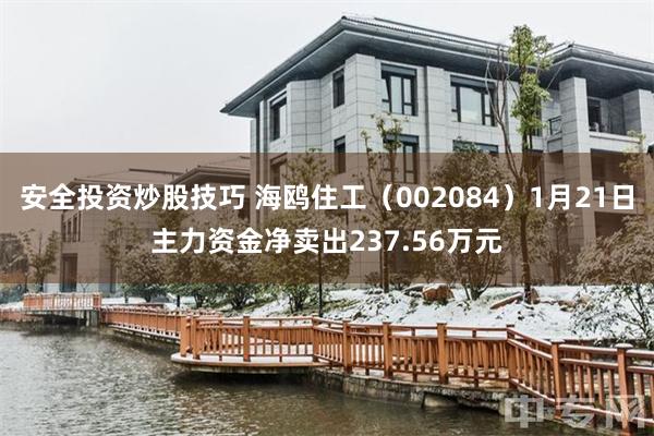 安全投资炒股技巧 海鸥住工（002084）1月21日主力资金净卖出237.56万元