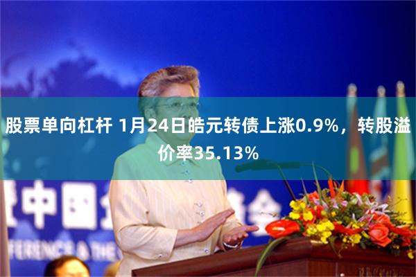 股票单向杠杆 1月24日皓元转债上涨0.9%，转股溢价率35.13%