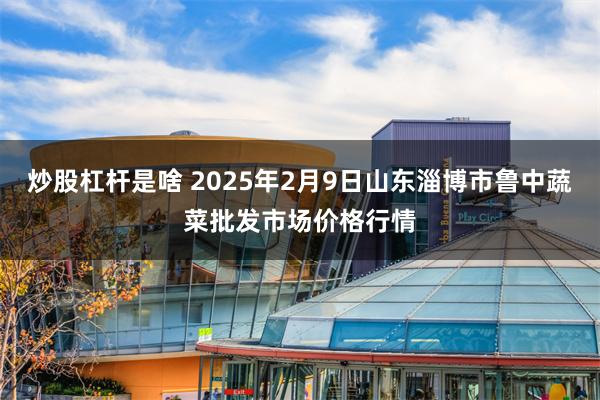 炒股杠杆是啥 2025年2月9日山东淄博市鲁中蔬菜批发市场价格行情