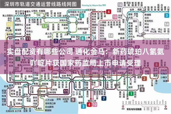 实盘配资有哪些公司 通化金马：新药琥珀八氢氨吖啶片获国家药监局上市申请受理