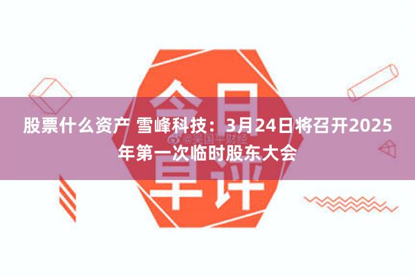 股票什么资产 雪峰科技：3月24日将召开2025年第一次临时股东大会